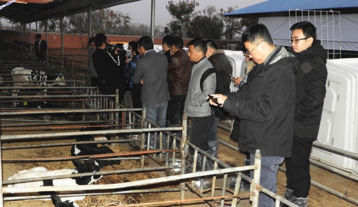 09 图为国家药典委员会一行调研临泉县王氏牧业有限公司。（记者 蒋守福 摄）.JPG
