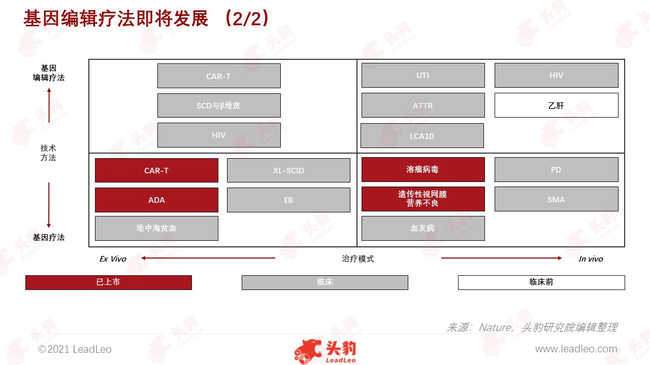 基因编辑疗法即将腾飞2