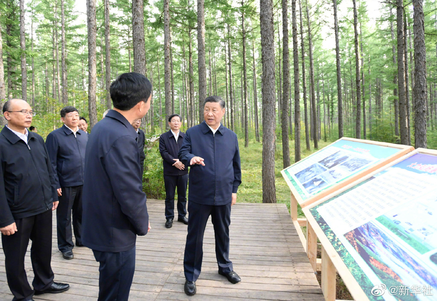 习近平在塞罕坝机械林场考察调研