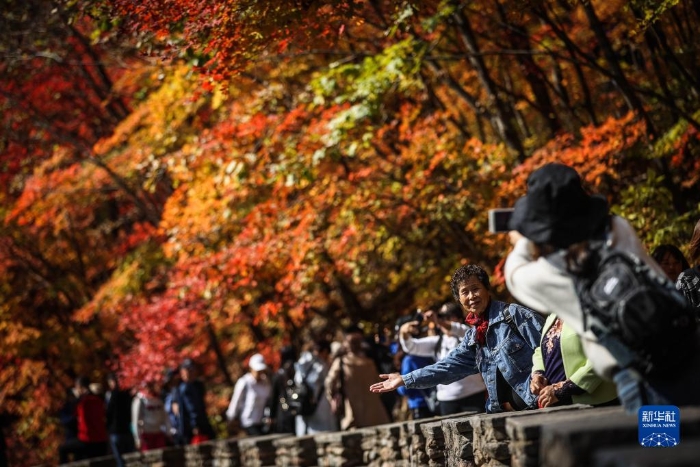 游客在辽宁省本溪市大石湖风景区拍照留念（2020年10月7日摄）。本溪市是国家森林城市，有“枫叶之都”的美誉。新华社记者 潘昱龙 摄