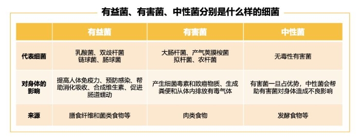 90%的疾病都是因为它,三位专家揭秘肠道健康的诀窍 90%的疾病都是因为它,三位专家揭秘肠道健康的诀窍